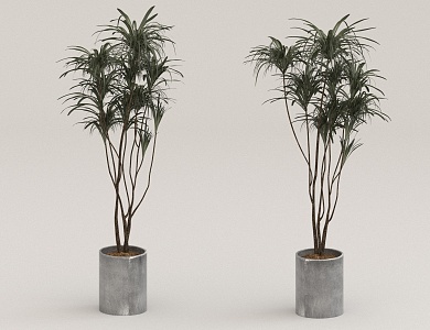 potted plant 3d model