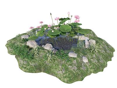 Beautiful Garden Pond Feature With Lotus Flowers Leaves Stones And Green Grass 3d model