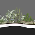 Tropical Plant Combination With Banana Leaves Palm Plants And White Storks In White Brick Planter