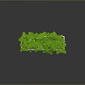 Lush Green Plants Growing In White Rectangular Planter With Gray Background And Reflective Surface