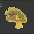 Tropical Fish Colorful Fish Ornamental Fish Aquarium Coral Fish Underwater Fish Color Fish Cartoon Fish Freshwater Fish 3d model
