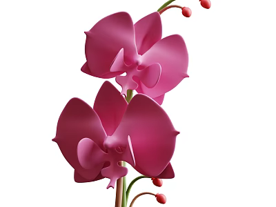 Pink Orchid Plant With Blooming Flowers Green Stem And Red Buds 3d model