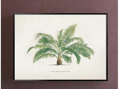 Framed Botanical Palm Tree Print With Green Leaves On Brown Background 3d model