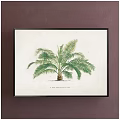 Framed Botanical Palm Tree Print With Green Leaves On Brown Background