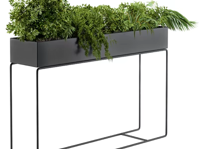 Lush Green Potted Plants In Modern Black Rectangular Planter On Metal Stand 3d model