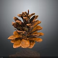 Orange Pine Cone With Detailed Structure And Shiny Texture On Dark Background 3d model
