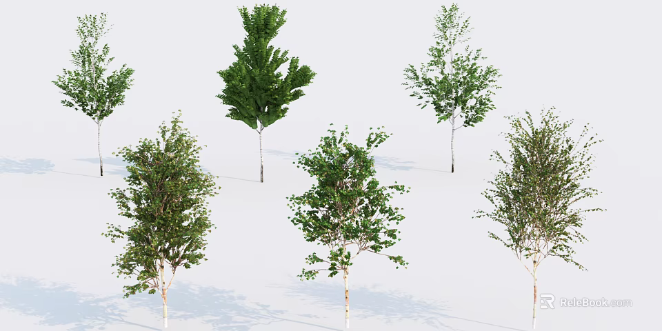 Various Arbor Trees With Lush Green Foliage And Different Growth Forms 3d model