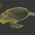 Modern Turtle Small Turtle Green Turtle Big Turtle Black Turtle 3d model