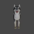 3D Animated Dog Character For Game Movie With Black White Fur Standing Pose