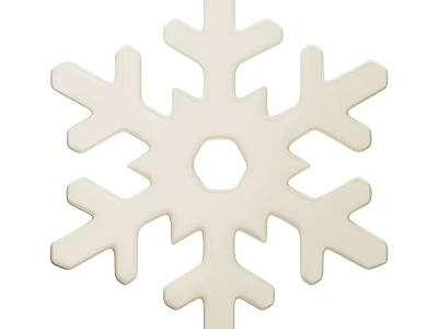 Modern Decorative Ornament Set with White Snowflake Design for Home Decor 3d model