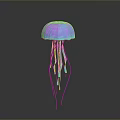Pink Purple And Blue Jellyfish With Long Tentacles Showcasing Vibrant Colors In Marine Life