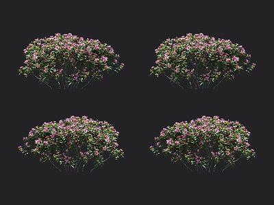 Decorative Flower Bushes With Clusters Of Pink Flowers And Green Leaves For Garden 3d model