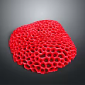 Healthy Vibrant Red Coral Polyps With Honeycomb Structure In Ocean Habitat