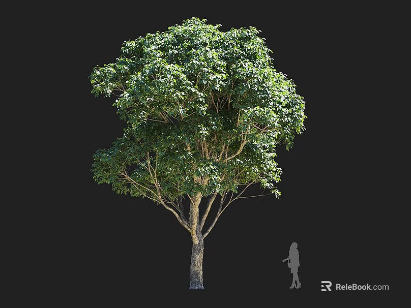 Tall Lush Green Tree With Dense Foliage Strong Trunk And Human Figure For Scale 3d model 