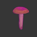 Modern mushroom straw mushroom poisonous mushroom 3d model