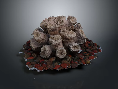 Coral Polyps Creating Intricate Grayish Brown Formation With Red And Brown Granular Base 3d model