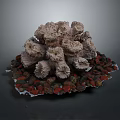 Coral Polyps Creating Intricate Grayish Brown Formation With Red And Brown Granular Base