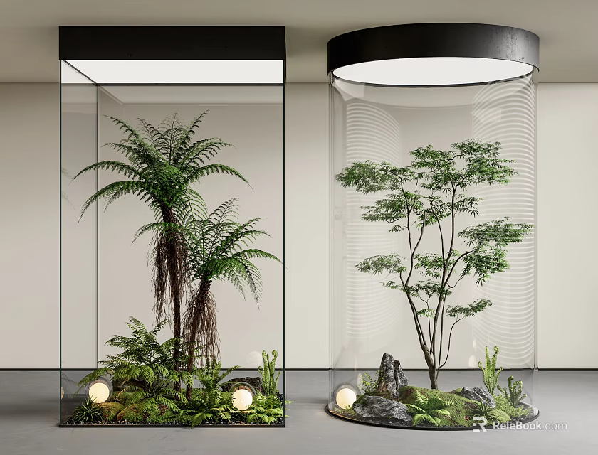 Modern Indoor Plant Display In Glass Containers With Green Foliage And Lights 3d model 