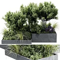 Lush Green Shrubs in Square Gray Planters with Surrounding Green Plants
