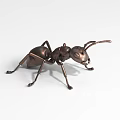 Bronze Ant Landscape Sculpture With Realistic Metal Design And Detailed Features