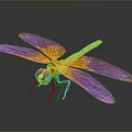 Colorful Dragonfly With Vibrant Colored Mesh Pattern Wings And Colorful Body