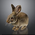 Realistic Rabbit Statue With Brown Fur Long Ears Red Eyes White Whiskers And Black Background