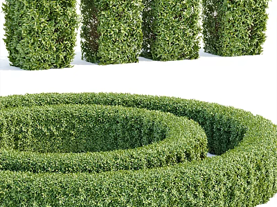 Well Trimmed Hedges With Columnar Shapes And Spiral Maze In Garden Design 3d model