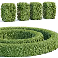 Well Trimmed Hedges With Columnar Shapes And Spiral Maze In Garden Design
