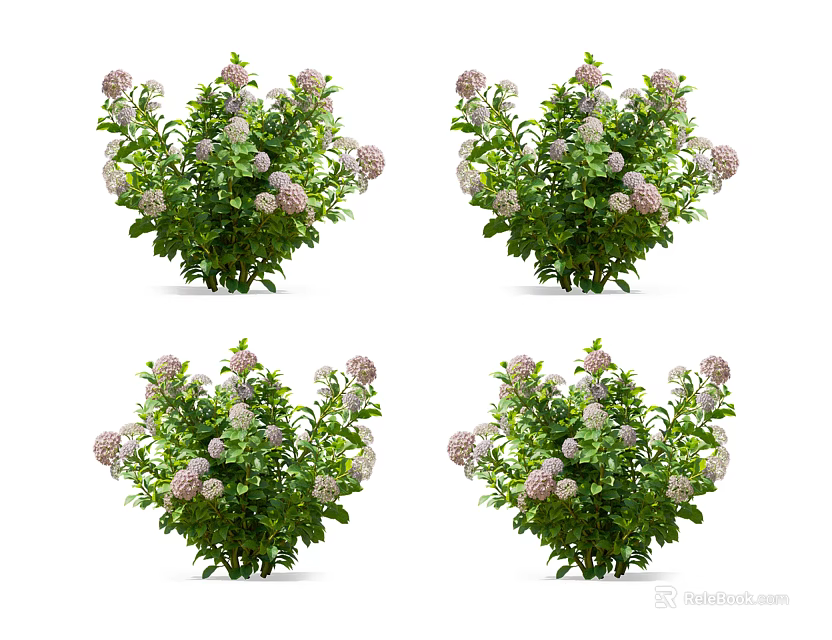 Lush Pink Flowering Shrubs With Green Leaves And Dense Foliage 3d model 