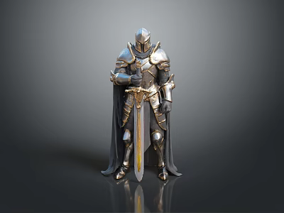 Man In Medieval Metallic Armor Standing With Cloak And Sword 3d model