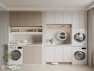Modern Laundry Room Interior Design With Washing Machines Dryers Cabinets Sink And Plants 3d model