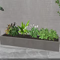 Indoor Potted Bonsai Plants In Rectangular Concrete Planter With Mixed Greenery 3d model