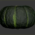 Green Pumpkin Plant With Green Stripes And Yellow Stem On Gray Surface