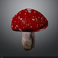 Red Mushroom With White Spots Fresh Natural Food Ingredient For Cooking