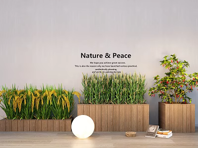 Indoor Nature Peace Plant Combinations with Green Yellow Grasses Red Berry Tree in Wooden Planters 3d model