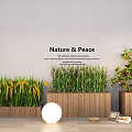 Indoor Nature Peace Plant Combinations with Green Yellow Grasses Red Berry Tree in Wooden Planters