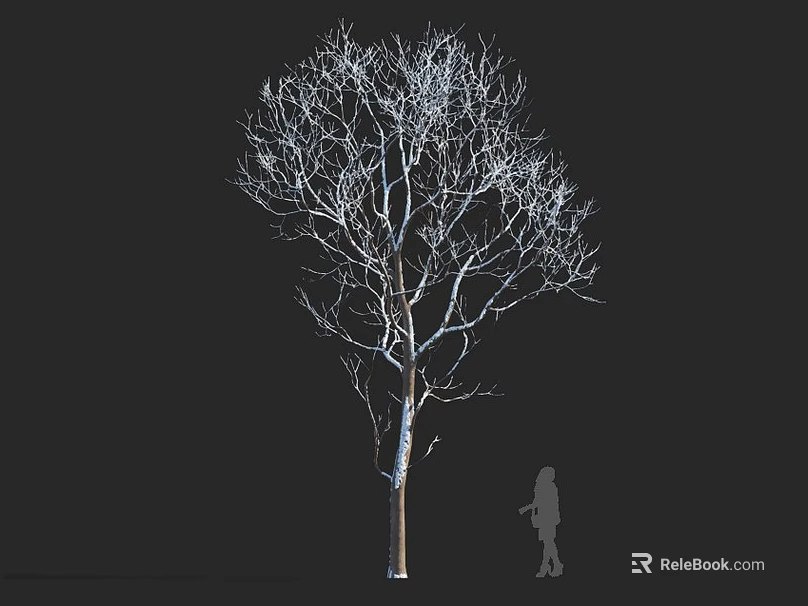 Deciduous Arbor With Bare Branches And Silhouette Figure Against Dark Background 3d model