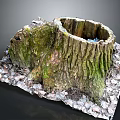 Natural Tree Stump With Green Moss And Fallen Leaves In Outdoor Scene