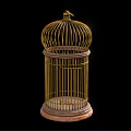 Gold Metal Birdcage Decorative Ornament Piece with Wooden Base Home Decor Accent