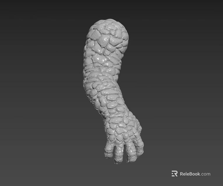 Mythical Creature Arm 3D Model With Rough Textured Surface And Detailed Design 3d model