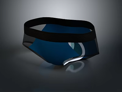 Men's Blue Underwear With Black Waistband And White Accent Design 3d model