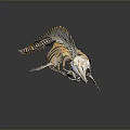Detailed Marine Animal Skeleton With Long Snout Streamlined Structure On Gray Background