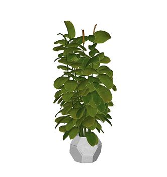 Modern potted plants, green plants, potted plants, potted plants 3d model