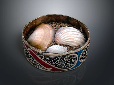 Marine Animals Shells In Decorative Round Box With Sand And Patterns 3d model