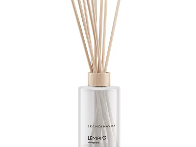 Elegant Scented Reed Diffuser With Transparent Bottle And Wooden Cap 3d model