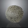 White Sea Urchin Test Showing Intricate Honeycomb Structure On Gray Gradient Surface 3d model