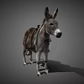 Gray Donkey Standing With Brown Leather Saddle On Gray Background 3d model