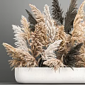 Decorative Potted Dried Pampas Grass With Feathery Plumes In Beige Brown And Dark Gray Tones