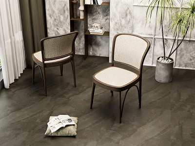 Stylish Leisure Chairs With Rattan Back Seat And Dark Legs Gray Wall Green Plant 3d model