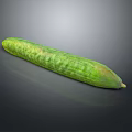 Fresh Green Cucumber With Textured Skin On Black Background Showing Reflection